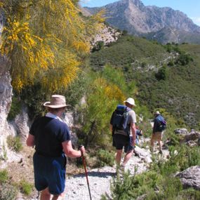 Multi Level Walking Holiday