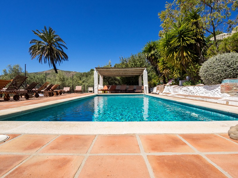 Spanish Immersion Week